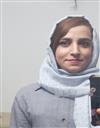 علوم انسانی مجموعه زبان و ادبیات فارسی زبان و ادبیات فارسی