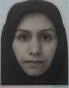علوم انسانی مجموعه زبان و ادبیات فارسی زبان و ادبیات فارسی