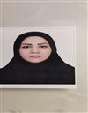 علوم انسانی مجموعه علوم سیاسی و روابط بین الملل علوم سیاسی